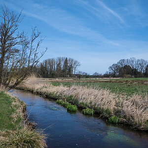 An der Aue (1 von 1).jpg