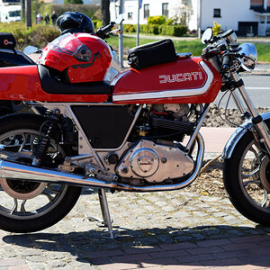 Ducati 500 Sport Desmo r.jpg