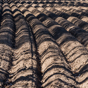 Licht und Schatten (1 von 1).jpg