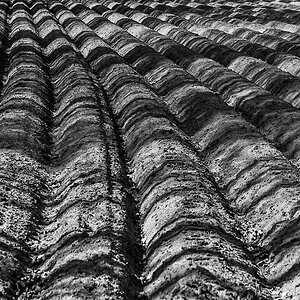 Licht und Schatten BW (1 von 1).jpg