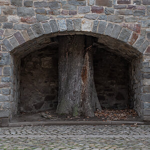 OF2_25356.jpg