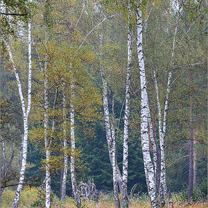 D75_2800.jpg