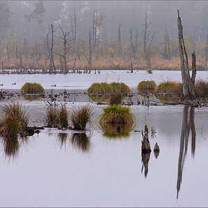 D75_2780.jpg