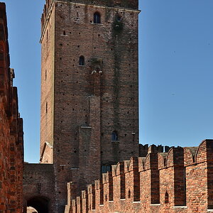 DSF_3905_nff.JPG