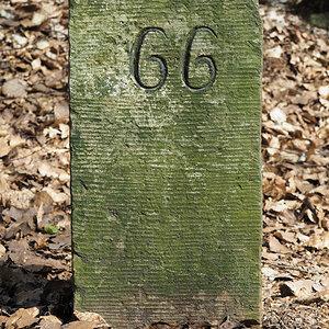 66.jpg