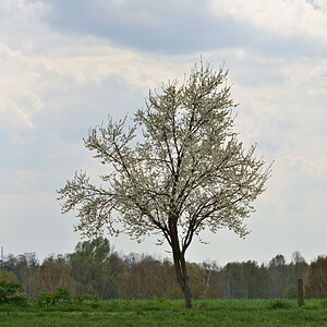 DSC_2061.JPG