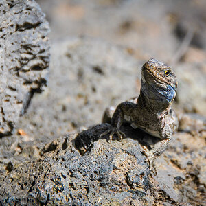 20110926-DSC_0180.jpg