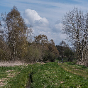 Seewiesen 4 (1 von 1).jpg