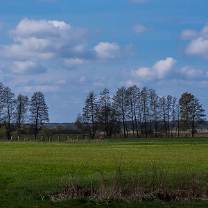 Seewiesen 6 (1 von 1).jpg