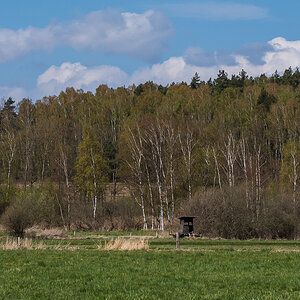 Seewiesen 9 (1 von 1).jpg