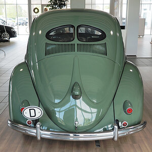 VW Käfer Brezelfenster Heck.jpg
