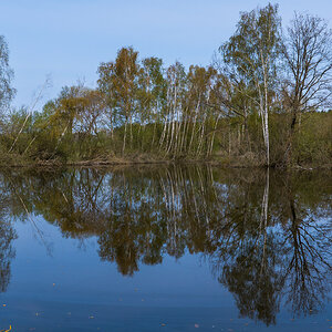 Seewiesenteich (1 von 1).jpg