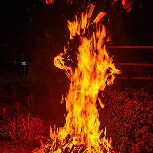 OF2_23480.jpg
