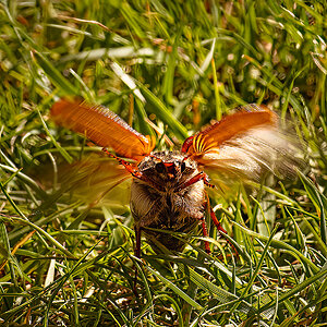 121-365.jpg