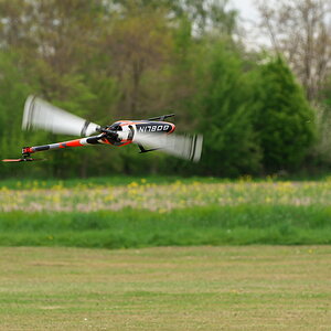 DFX_2452.jpg