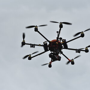 DFX_3701.jpg