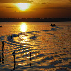 20121013-DSC_0428.jpg