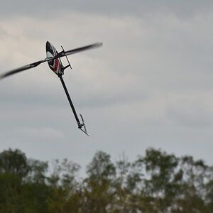DFX_3196.jpg