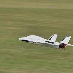 DFX_3695.jpg