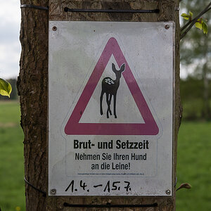 Brut und Setzzeit (1 von 1).jpg