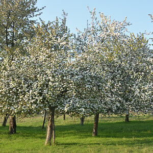 DSC_9962.JPG