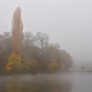 DSL_0749_1.JPG