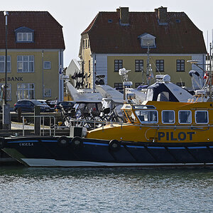 _Z505292KPxl.jpg