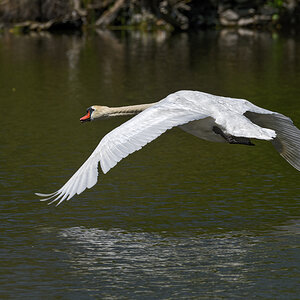 OF5_20892.jpg