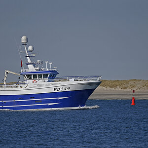 _Z505346KPxl.jpg