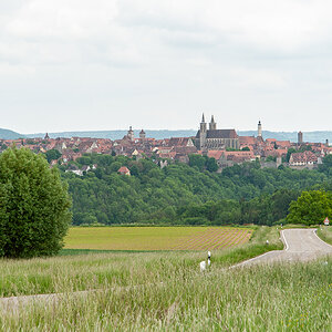 DSD_1224.jpg