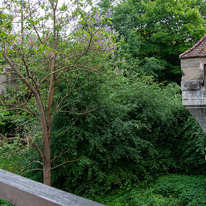 DSD_1300.jpg