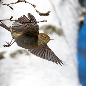 D50_7827_Zipzalp bei Abflug_IA_4_2022.jpg