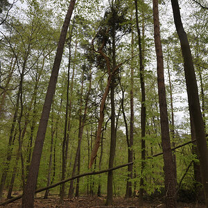 DSC_2246.JPG