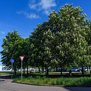 OF2_56074.jpg