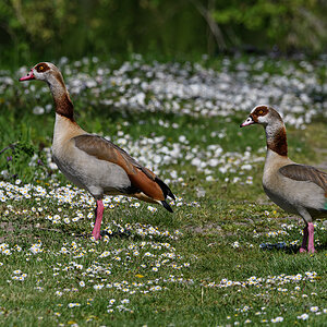 OF5_20912.jpg