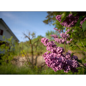 JuraDSC_6790.jpg