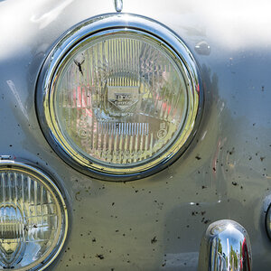 20220508-D50_4452.jpg