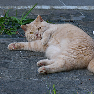 OF2_56105.jpg
