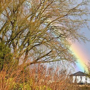 Regenbogen klein.jpg