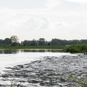 20220517-D50_4527.jpg