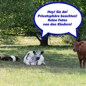 20220517-D50_7752-Bearbeitet-Bearbeitet.jpg