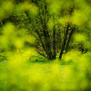 Am Bachlauf
