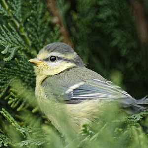 _DSC9968NF.jpg