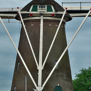 P1030455.jpg