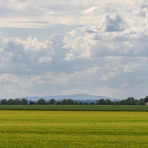 OF5_21564.jpg