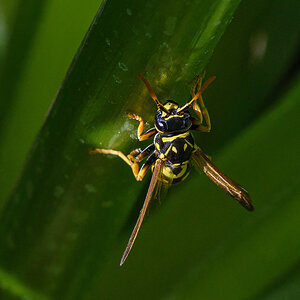 OF5_21121.jpg
