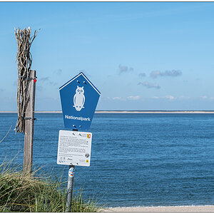 220 Sylt – Ellenbogen Nationalpark Wattenmeer