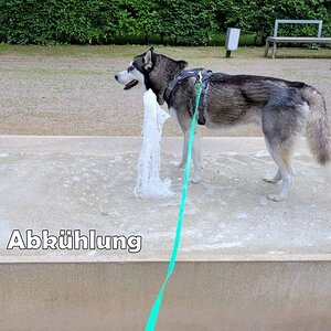 Bagno-023.jpg