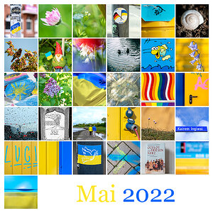 365|2022 Mosaik  Mai