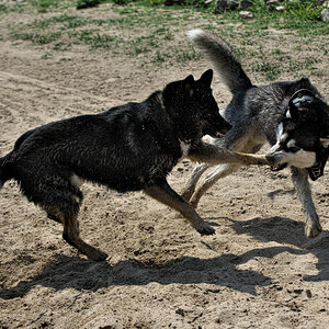 DFX_3934.jpg
